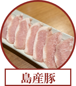 tousanbuta@2x tousanbuta@2x